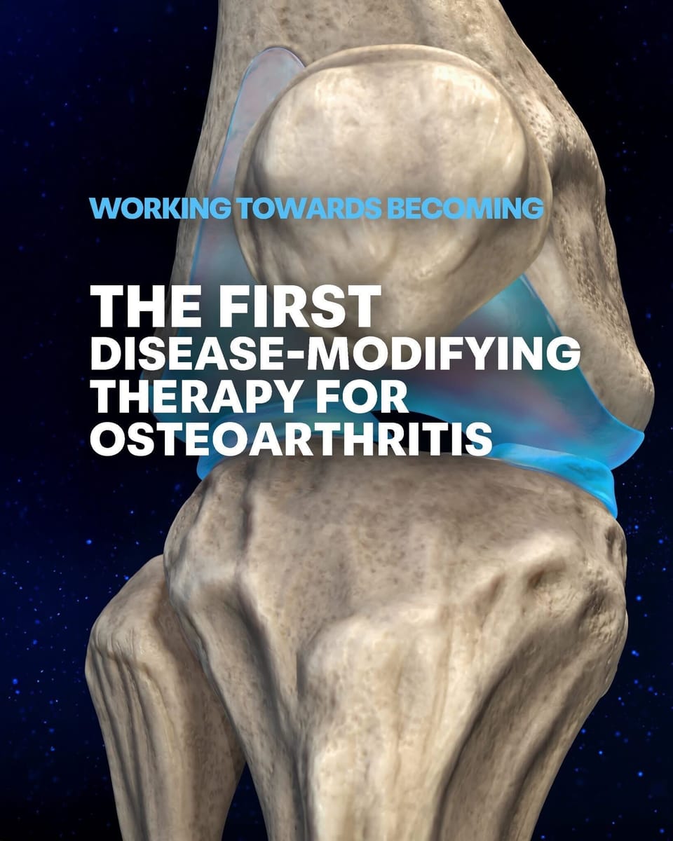 Why Did Big Pharma Spend Billions and Still Fail at OA?